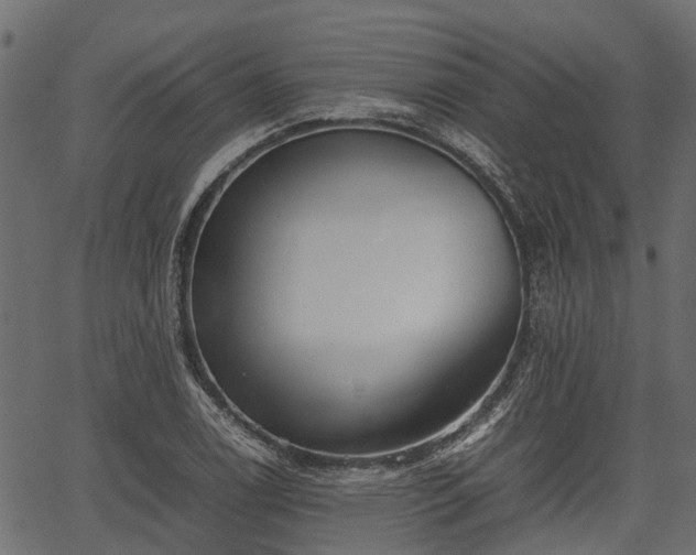 X0000066981122200603311517
