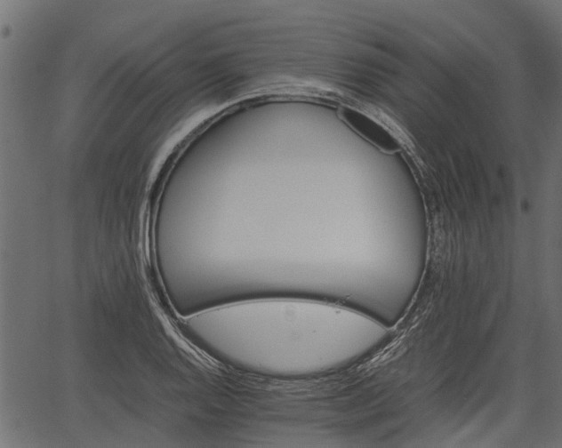X0000066981128200603311517