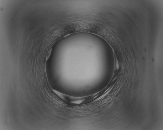 X0000066981153200603311517