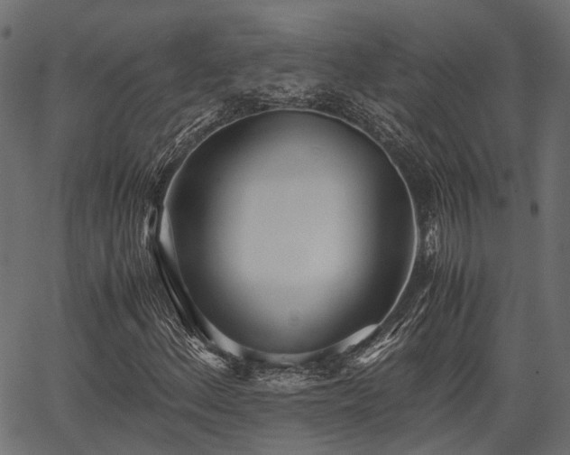 X0000066981156200603311517