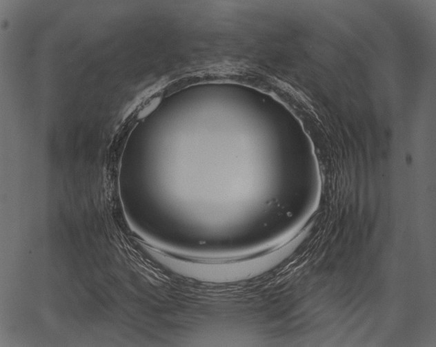 X0000066981160200603311517