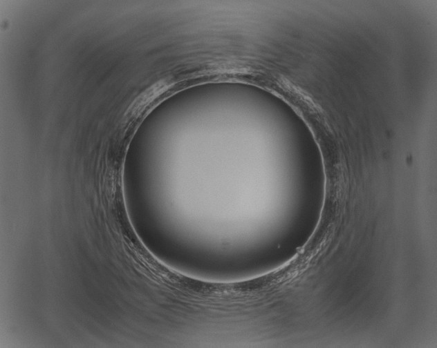 X0000066981169200603311517