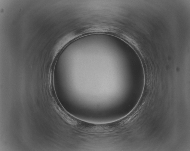 X0000066981179200603311517