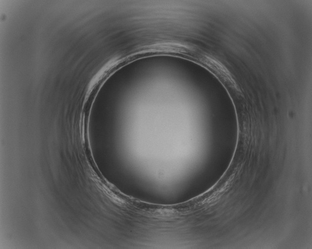 X0000066981180200603311517