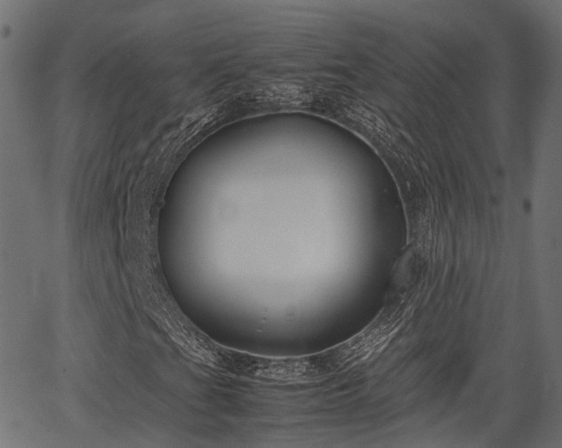 X0000066981201200603311515