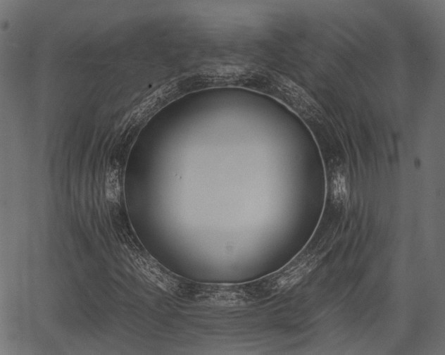 X0000066981204200603311516