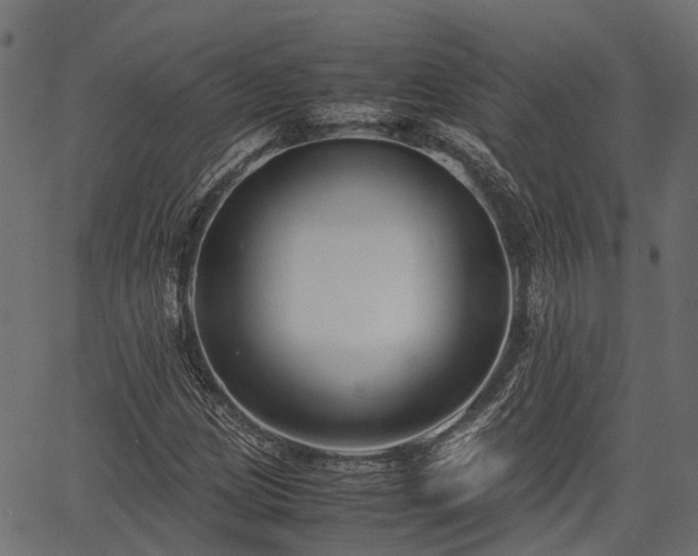 X0000066981209200603311516