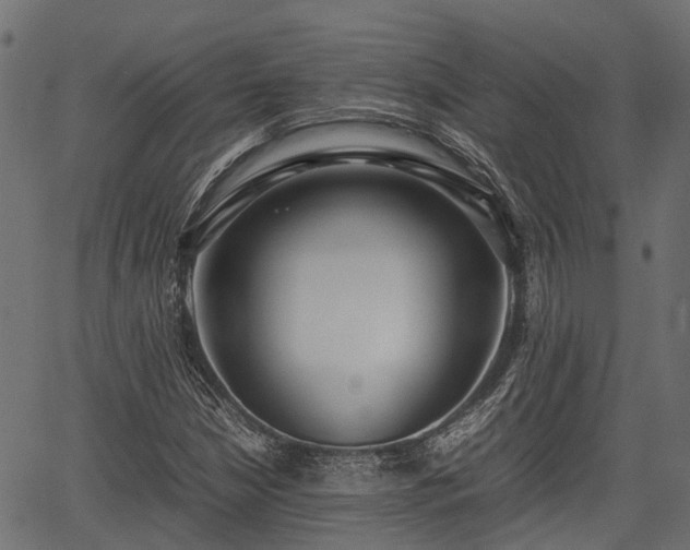 X0000066981210200603311516
