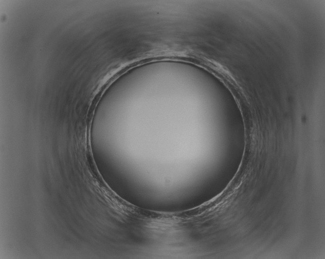 X0000066981220200603311516
