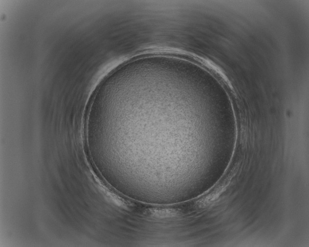 X0000066981231200603311516