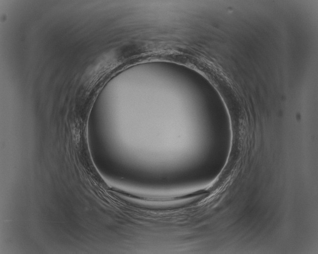 X0000066981257200603311515