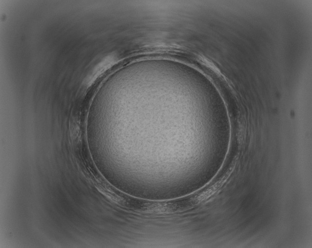 X0000066981259200603311515