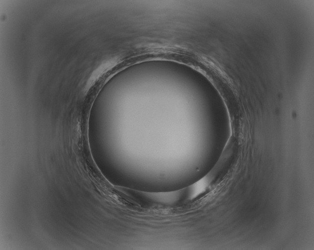X0000066981261200603311515