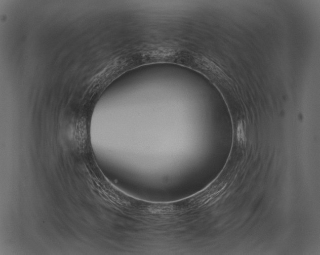 X0000066981299200603311514