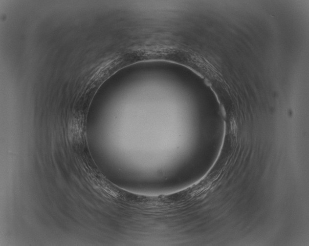 X0000066981300200603311514