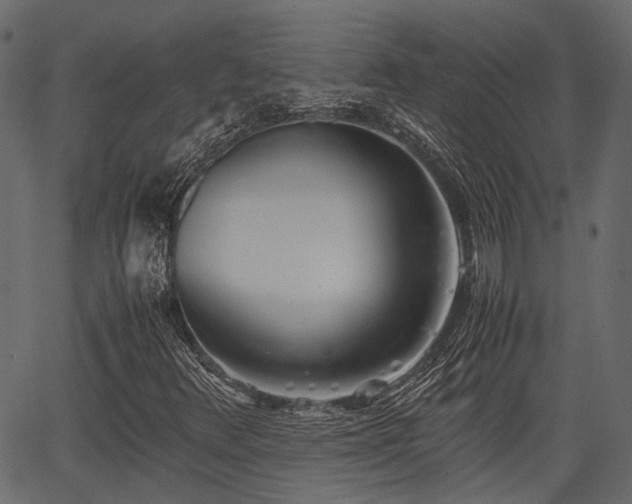 X0000066981348200603311514