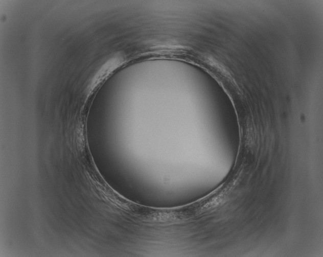 X0000066981362200603311514
