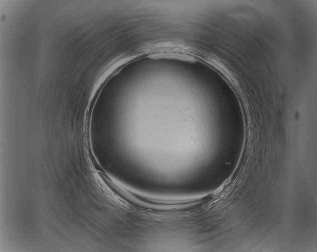 X0000066981392200603311513