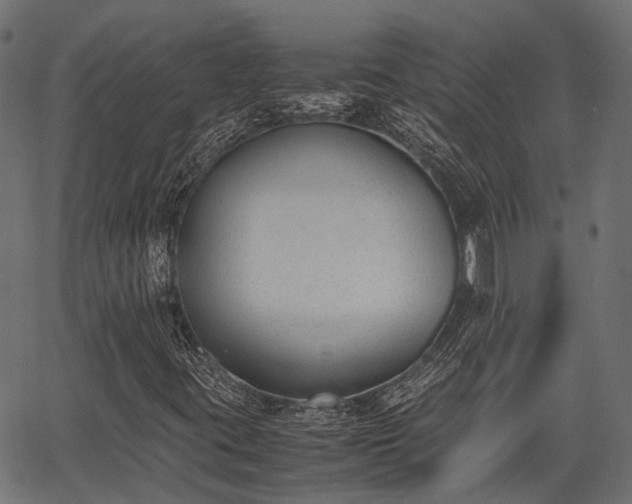 X0000066981395200603311512