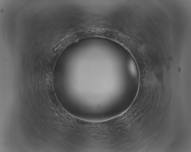 X0000066981397200603311512
