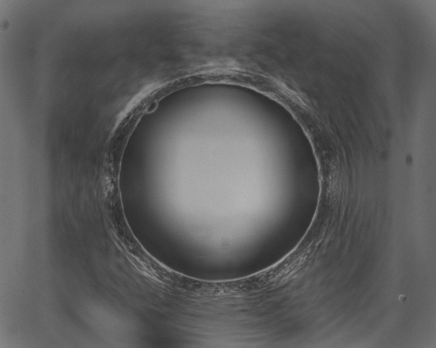 X0000066981400200603311512