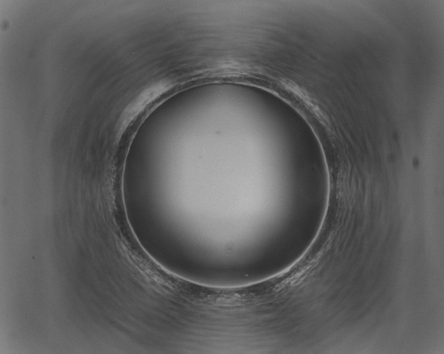 X0000066981410200603311513