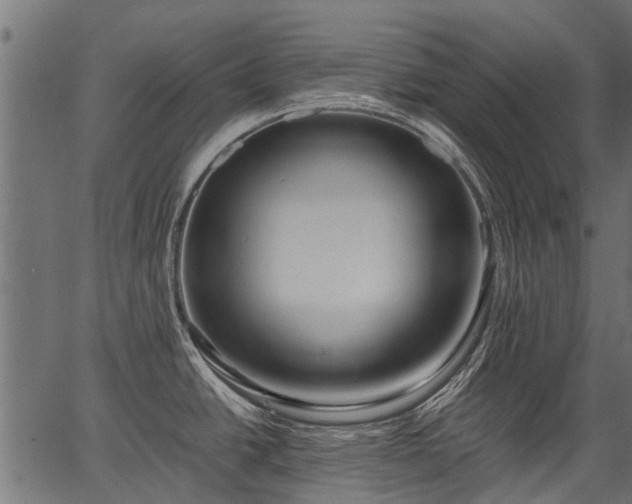 X0000066981438200603311513