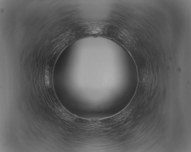 X0000066981442200603311512