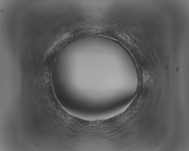 X0000066981447200603311512