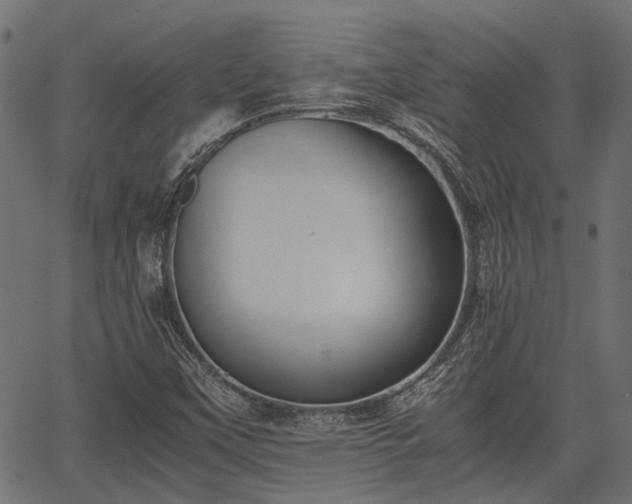 X0000066981451200603311512