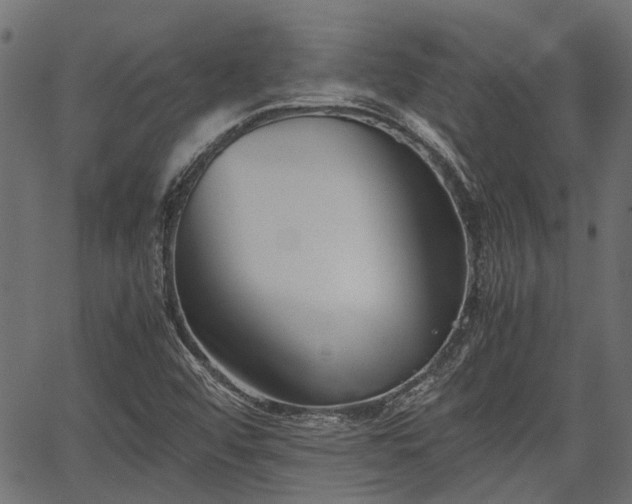 X0000066981456200603311512