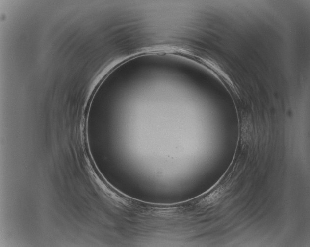 X0000066981484200603311512