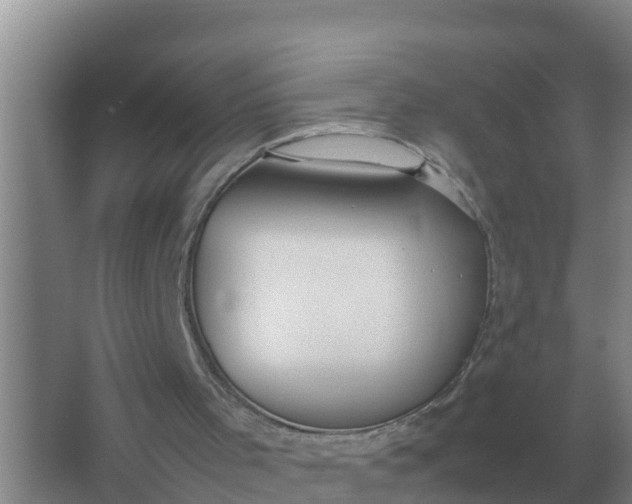 X0000066980001200604072108