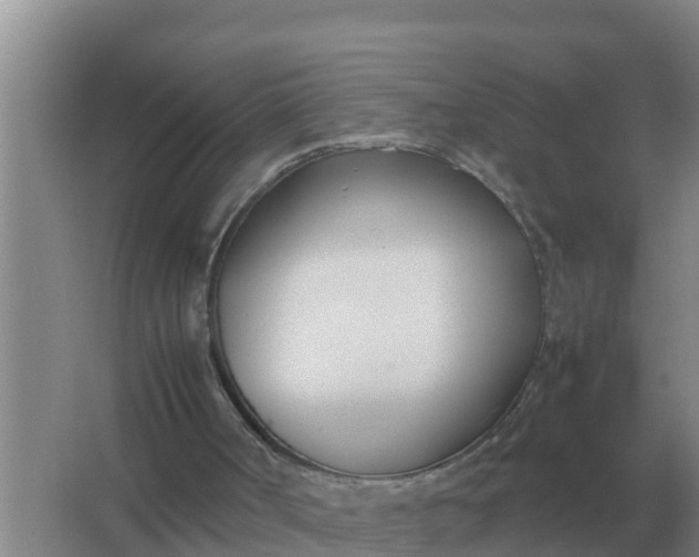 X0000066980002200604072108