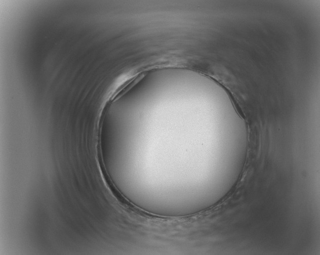 X0000066980003200604072108