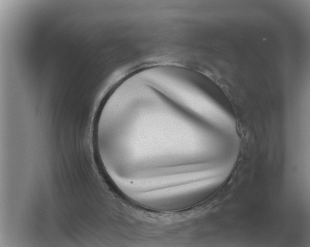 X0000066980006200604072108