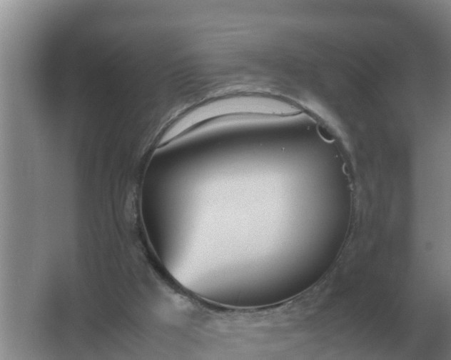 X0000066980009200604072108