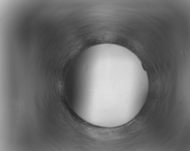 X0000066980040200604072108