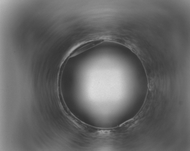 X0000066980052200604072107