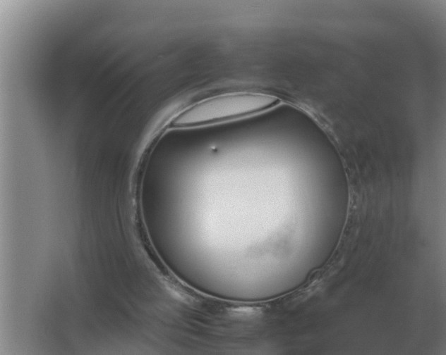 X0000066980053200604072107