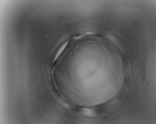 X0000066980167200604072105