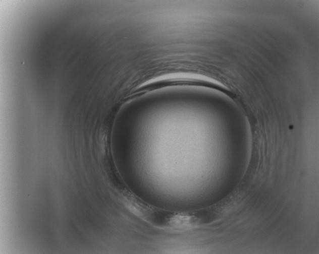 X0000066980227200604072104