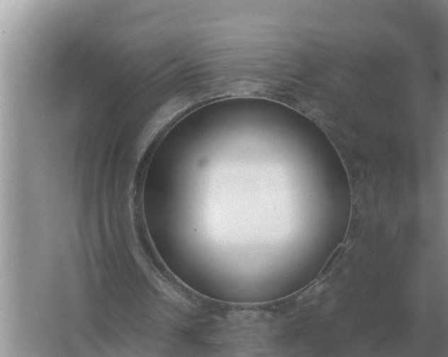 X0000066980242200604072103