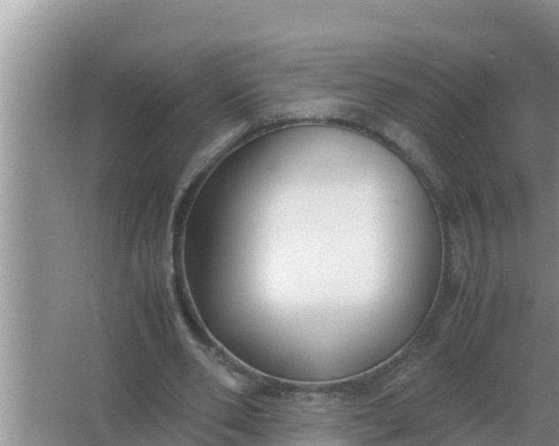 X0000066980486200604072100