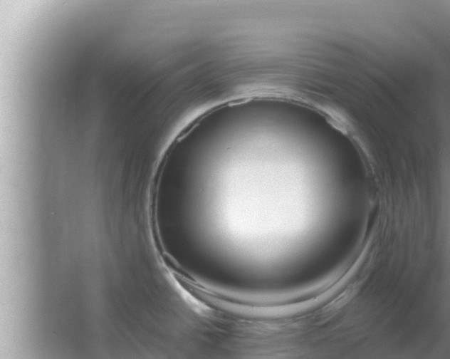 X0000066981438200604072045