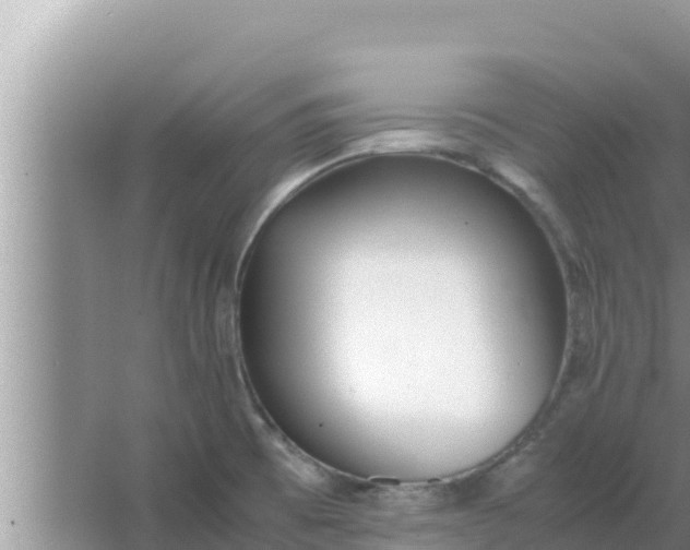 X0000066981473200604072043