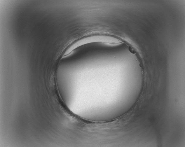 X0000066980009200604142218