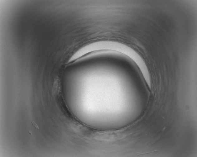 X0000066980029200604142218