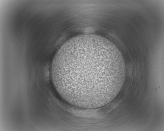 X0000066980032200604142218