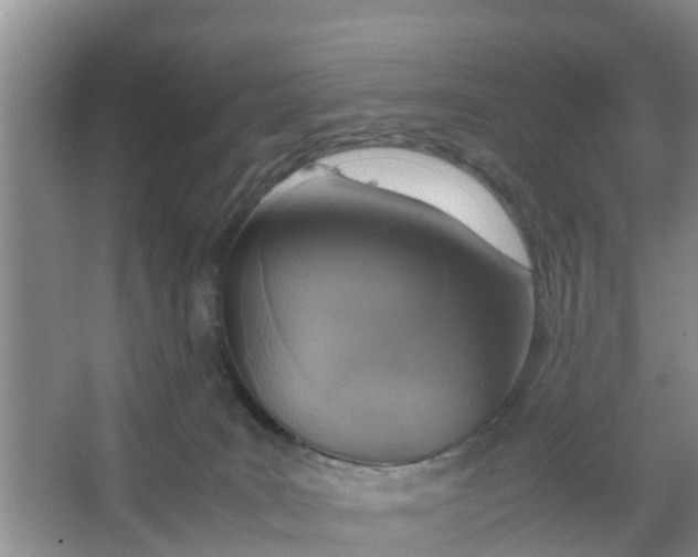 X0000066980035200604142218